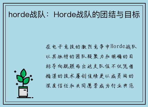 horde战队：Horde战队的团结与目标
