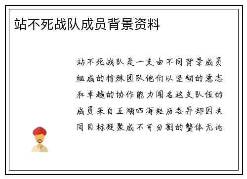 站不死战队成员背景资料
