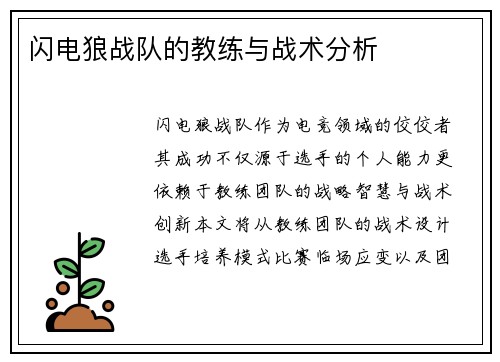 闪电狼战队的教练与战术分析